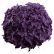  гортензия глубокий лиловый [ цветок рассада 3.5 номер pot |1 шт продажа ]