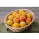  for the first time. . user sama limitation! Wakayama prefecture production .. plum A class goods 3kg( free shipping!)