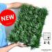 �^�}�����E�i�ʗ��j�@1�P�[�X�i40�j�@2.5���T�C�Y�@�P�[�X����E7.5cm�|�b�g�E�M���N�����E�E���̕E�E�����E�m�q�Q�E���̂Ђ� �@�O�����h�J�o�[�E�o���R�j�X