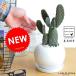 �T�{�e���i�n�G�X�q�F�X�~�G�{�V�j 2�{���� ���F �ی^ ���픫 �R���p�N�g�E���T�{�e���E�Z���E�X�E�T�{�e���E�o���U�C�T�{�e���E�J�N�^�X�EC4�J�N�^�X�E�n���X