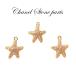  циркон Stone рама [94. Star Fish ] Cubic Zirconia hitote морской [ продажа поотдельности ] Gold очарование детали ручная работа ручная работа DIY