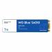 WesternDigital WD Blue SA510 SATA SSD ����1TB M.2(2280) 2.38mm SATA6Gb/s 560MB/s 520MB/s��WDS100T3B0B