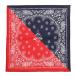EVA-01 PAISLEYS 2TONE BANDANNA (RED×NAVY)