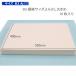 schi Len панель B3 большой 3mm примерно 550×400mm 10 листов ввод [ бесплатная доставка ]