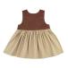Sleeveless Western Dress