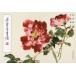 . снег ....... цветок .. часть 237 China картина /. снег .&amp;#32472; &amp;#33635;.&amp;#25995;.&amp;#35889; цветок . часть 237
