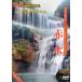  красный вода тысяч ... пейзаж *.. земля * китайский язык DVD/ красный вода тысяч ..&amp;amp;amp;#20065; China line DVD