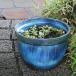  синий обжиг в печи менять небо вода type большой размер горшок с водой Shigaraki . круглый аквариум,me Dakar горшок . рекомендация .... горшок очень большой размер [su-0229]