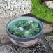 11 номер. . глаз горшок с водой Shigaraki . круглый аквариум,me Dakar горшок . рекомендация керамика водяная лилия горшок рука горшок с водой оризия горшок [su-0276]