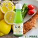 伊藤農園 レモン果汁 100ｍｌ 単品 100％ピュア果汁 ストレート果汁 無添加 国産 自宅用 ギフト
