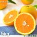  подарок на Bon Festival фрукты барен sia orange 5kg Wakayama мандарин прекрасный товар .. для . мандарин orange бесплатная доставка коробка покупка подарок 