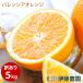  подарок на Bon Festival фрукты барен sia orange есть перевод 5kg Wakayama производство orange . мандарин дом для бесплатная доставка коробка .. коробка покупка 