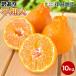  мандарин не . огонь декоративный элемент мандарин декоративный элемент pon такой же товар вид есть перевод 10kg Wakayama мандарин бесплатная доставка . коррозия . не использование Hokkaido Okinawa стоимость доставки 770 иен ваш заказ фрукты 