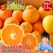 2 коробка покупка бесплатная доставка .. набор мандарин 2.5kg лотерейный мешок фрукты пик соединять Wakayama . глициния сельское хозяйство .