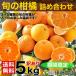 送料無料 訳あり 柑橘詰め合わせ 5kg 有田みかん 伊藤農園 傷あり品 かんきつ類 福袋 和歌山みかん Sサイズ Mサイズ Lサイズ 内祝