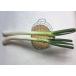  white welsh onion ( root deep welsh onion )( 2 ps ) Fukuoka production Ooita production other r