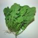  leaf daikon radish Fukuoka production approximately 200g