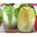  Chinese cabbage 1/2 Fukuoka production, domestic production r