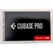 Steinberg / CUBASE Pro 13 красный temik версия внутренний стандартный товар 