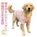 ���o�|�� �⊴ �N�[�� �^���N�g�b�v ���� �₽�� ���ɔG�炵�� ���� ���b�V�� ������ �ĕ� �Ђ��� �ڐG�⊴ �� ��^���p �E�ѕی� �_�炩��