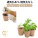 100 шт. комплект прямоугольник круглый бумажный выращивание рассады pot Pal p бумага цветочный горшок бумага pot . рассадный ящик разборка . eko материалы вид .. pot растения культивирование овощи культивирование помидор 