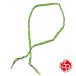 SunKu thank 39 BANDANA NECKLACE / бандана колье (LIME GREEN) SK-290 стандартный товар lime зеленый пара подарок подарок унисекс мужской re...
