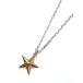 TOMASZ DONOCIK Thomas dono шик SILVER STAR NECKLACE (SILVER × GOLD STAR) PNDT17 S GS Silver Star колье стандартный товар подвеска звезда che -...