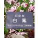�L�O���v���[�g �A���l�[���v���[�g �����ꍏ�� �I�[�_�[�l�[���^�O �A�N���� ���|���x��