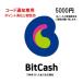 コード通知専用 ビットキャッシュ Bit Cash 5000円券　プリペイドカード