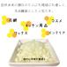 ���X/�~�c���E200g ���{�� �������� �A���� �~�c���E ���X �L�����h�� �q���� �N���[�� �A���� �R�X�� ���ϕi ���b�v �Ό�  �A���}�L�����h�� �֘A�摜2