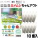  turtle msi Chan out 10 piece insertion made in Japan free shipping turtle msi measures 100% natural ingredient effect length . approximately 2. month domestic production is ka insecticide un- use effect has been proven made in Japan 