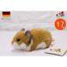 �������� �̤������ Kosen ������ǥ�ϥॹ���� 17cm Goldhamster �� �ꥢ�� ưʪ �ϥॹ���� �� �ͤ��� ��ʪ ����ƥꥢ ���ե� �ץ쥼��� ���ꥹ�ޥ�  ��