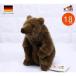 �������� �̤������ Kosen �֥饦��٥� (�ߥ�) 18cm Brown Bear Mini �ɥ����� �ꥢ�� ưʪ ���� ����