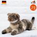 ke-sen мягкая игрушка Kosenyama кошка [pepi]( маленький ) 29cm Wildkatze "Peppi" klein Германия производства настоящий животное кошка .. кошка гора кошка wild кошка украшение 