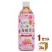  Surf viva rejipi-chi. дракон чай пластиковая бутылка 500ml×24шт.@×1 кейс (24шт.@)