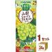  корзина me овощи жизнь 100 Yamanashi автомобиль in мускат Mix 195ml 1 кейс (24шт.@)