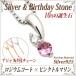 ԥ󥯥ȥޥ 10  ͥå쥹 ǥ  С925 SV925㥹 ॳƥ  ̵ ͥå쥹 ץ  