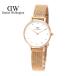 Daniel Wellington �_�j�G���E�F�����g��  DW00100528 PETITE LUMINE PRESSED MELROSE 28MM �r���v ���f�B�[�X �����p �A�i���O �N�H�[�c ���[�Y�S�[���h