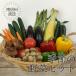  сезон. овощи комплект Y703b( рефрижератор ) *8 месяц средний .~ отправка предположительно овощи . подарок внутри праздник . подарок .. для овощи комплект ... комплект 