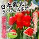  ограниченное количество вишня Sato . Hokkaido больше шерсть блок производство превосходящий L размер и больше 1kg(500g×2 упаковка ) бесплатная доставка 