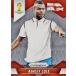 2014Panini Prizm ƣɣƣ World Cup Soccer 쥮顼 135 Ashley Cole ꡼ (󥰥)