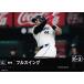 PDC03ڥե륹(.顼)/饤󥺡2024 ֥ ץDREAM ORDER ꡼ ֡ѥå vol.4 Ρޥ [C]