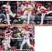 [ Hiroshima Toyo Carp ] Calbee 2026 Professional Baseball chip s 1 [ команда другой постоянный полный комплект ] все 5 вид ( название держатель. за исключением )