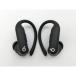 [ б/у ]beats by dr.dre Powerbeats Pro 2 MX723PA/A [ jet черный ][DS осень лист ] гарантийный срок 1 месяцев [ разряд B]