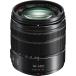 Panasonic �p�i�\�j�b�N ���{���Y�[�������Y LUMIX G VARIO 14-140mm / F3.5-5.6II �֘A�摜3