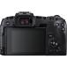 Canon �L���m�� �~���[���X���J���� EOS RP �{�f�B�[ EOSRP �u���b�N 3380C001 �V�i �֘A�摜1