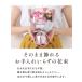 �\�[�v�t�����[ �ԑ� �M�t�g �a���� ���\�� �v���[���g LED ���C�g�t �������� �u�[�P ���� �� �{�b�N�X �M�t�g �X�C�[�c ���j�� US-006 �֘A�摜3