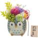 ���� ������ �� �M�t�g �v���U�[�u�h�t�����[ �����킹 �ӂ��낤 �������肪�Ƃ� �t�����[�A�����W�����g ���j�� ���Ԃ� �͂�Ȃ��� ���� �C���e���A �G��