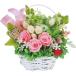 ���� ������ �� �M�t�g �v���U�[�u�h�t�����[ �o�X�P�b�g �� ���� �t�����[�A�����W�����g �s���N �͂�Ȃ��� ���j�� ���Ԃ� �C���e���A �G�� 1000136029
