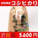 o рис 5kg белый рис бесплатная доставка Niigata префектура нить рыба река производство Koshihikari . рис 7 минут новый рис . мир 7 года производства 